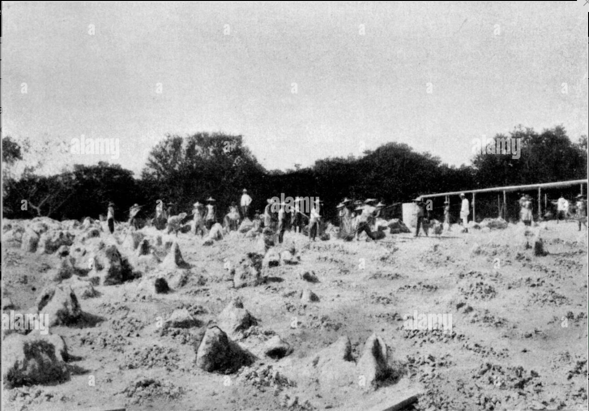 Nauru: A Cautionary Tale of Wealth Without Foresight by AARYAN DAS Nauru: A Cautionary Tale of Wealth Without Foresight by AARYAN DAS