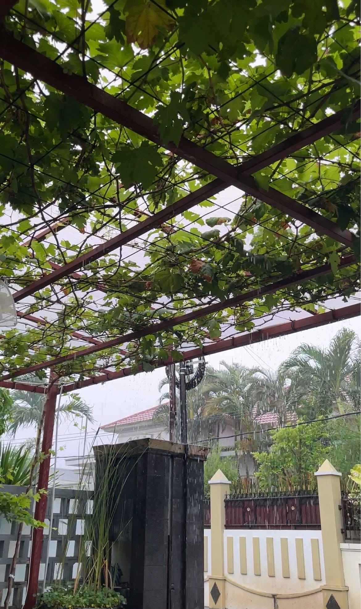 Yang indah dari hujan..
