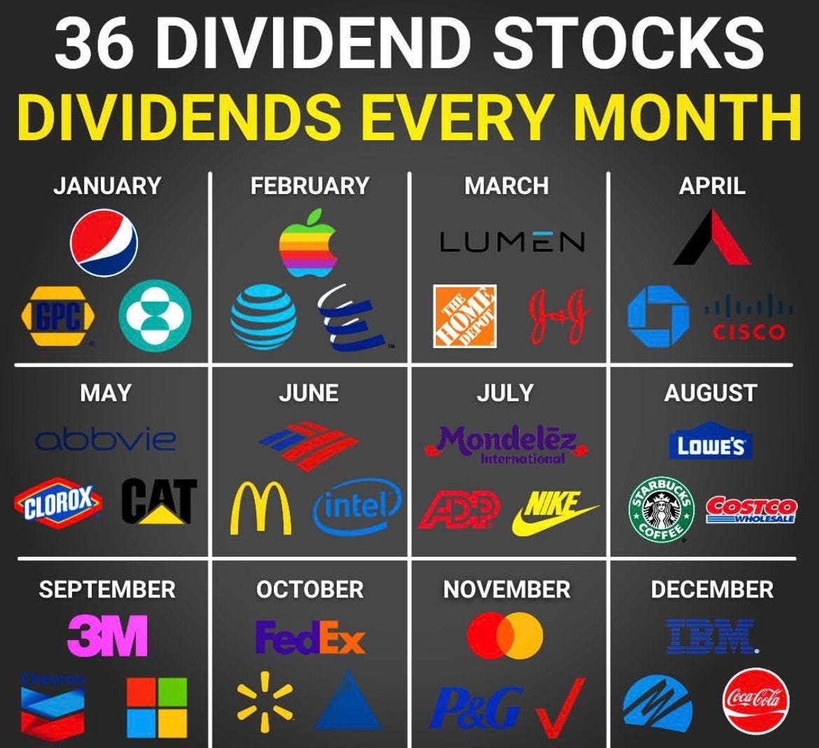 Dividend Stocks The Beginners Guide Money Basics