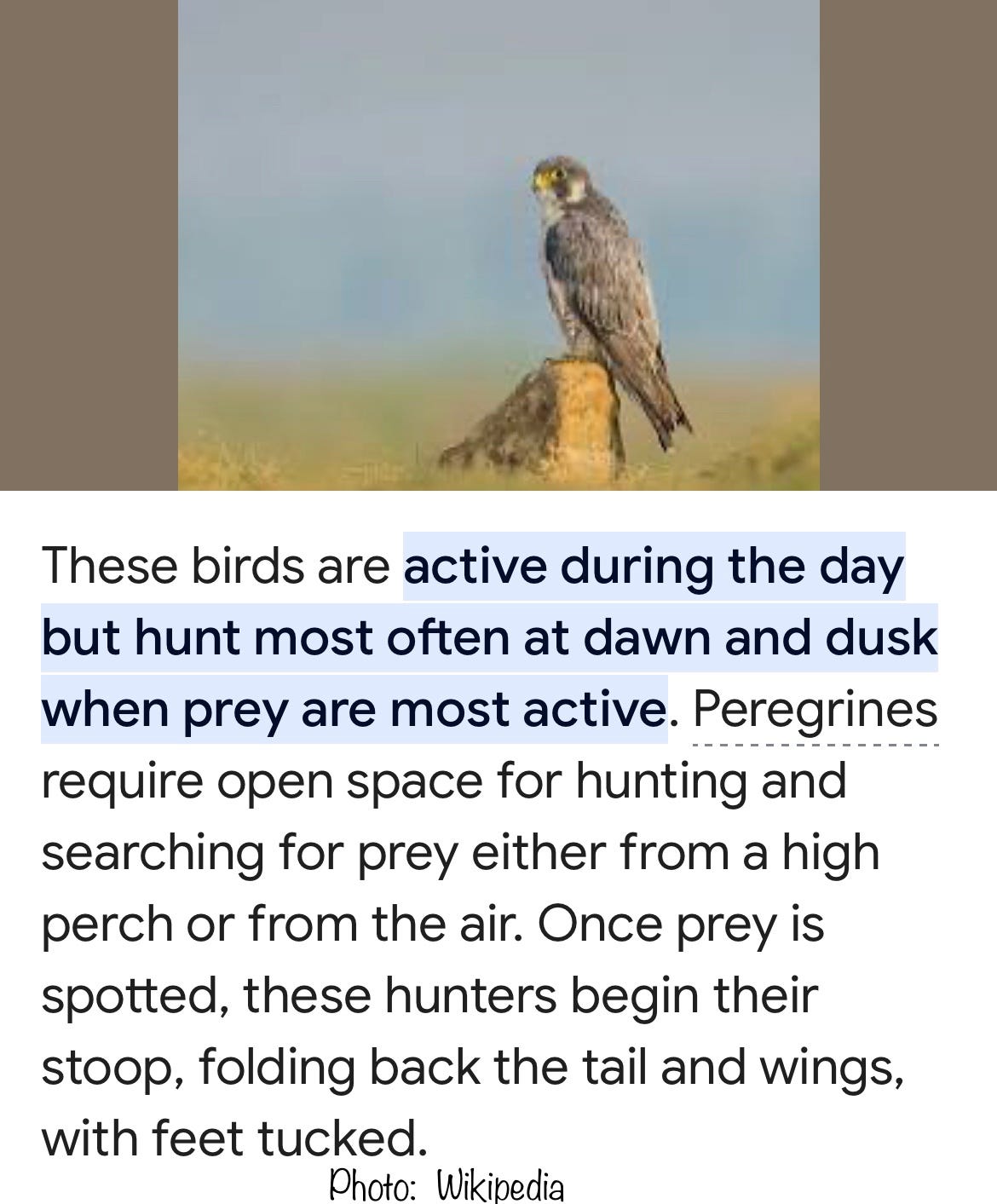 Birds of Prey (soundtrack) - Wikipedia