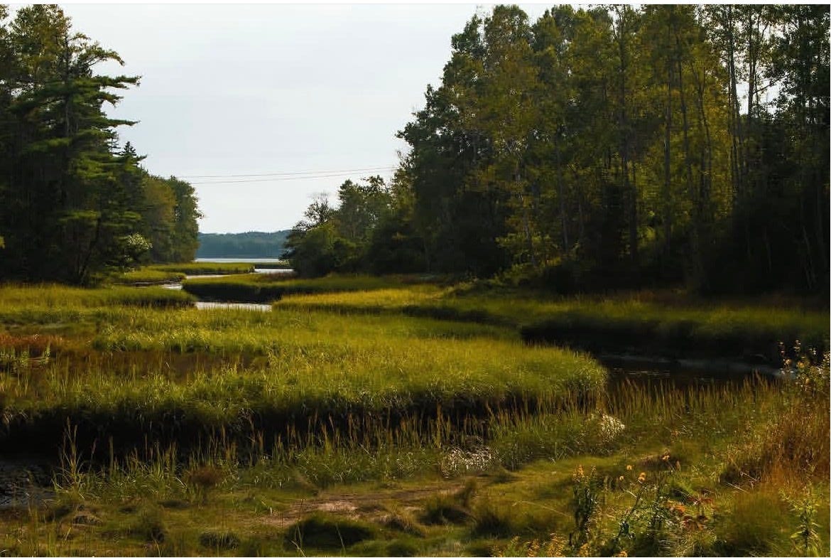 Estuary Conservation and Management Solutions in Maine