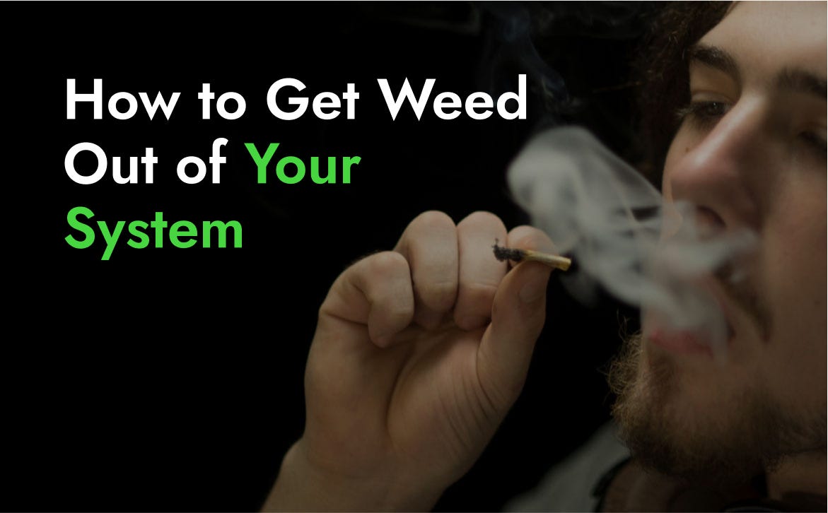 How to get weed out of your system | by Top Trending Videos | May, 2024 - How To Get Thc Out Of Your System Quicker