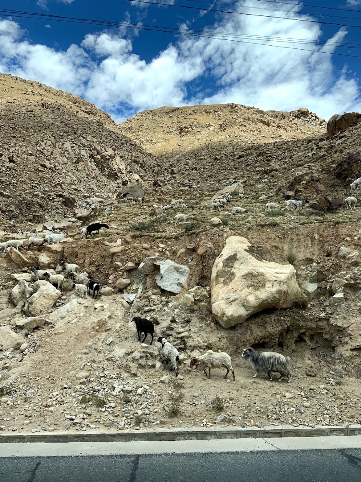 【TIBET】中國傳奇公路318公路從日喀則出發回到拉薩