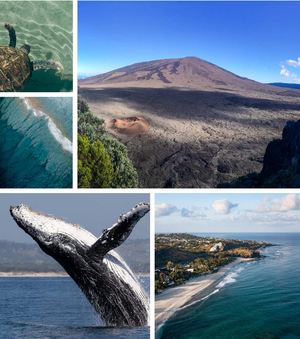 Quelle période choisir pour des vacances sur l’île de la Réunion ?