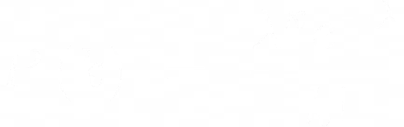 Poisson Distribution Formula -> k is frequency of nucleotide at given index