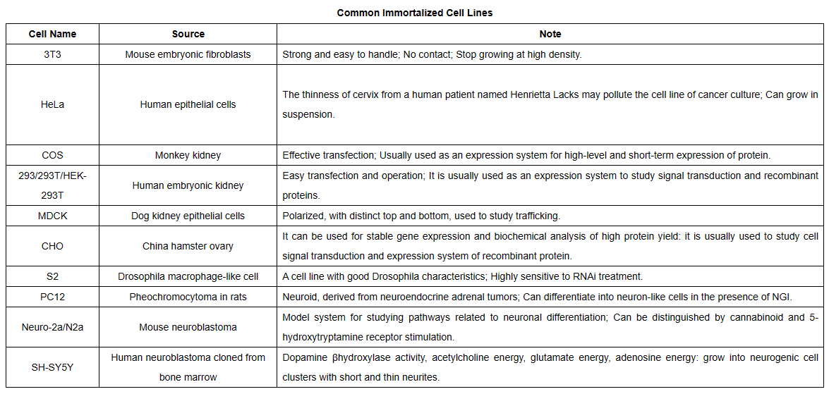 Immortalized Cell Line Construction by KMD Bioscience Medium