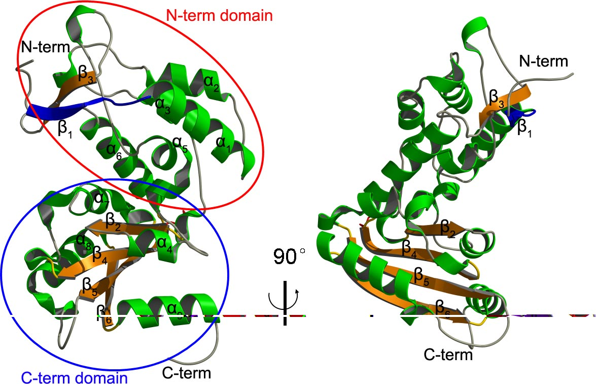 (Data source: Malavasi F, et al. Physiol Rev. 2008)