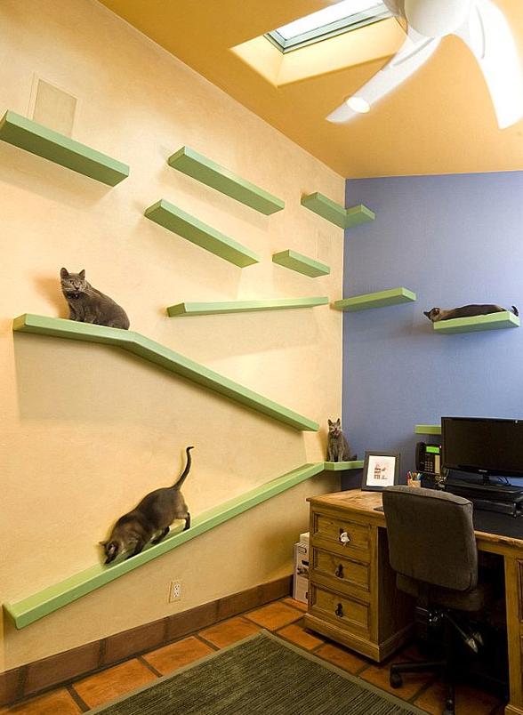 How to Design a Cat Room: Ultimate Tips for a Purrfect Space