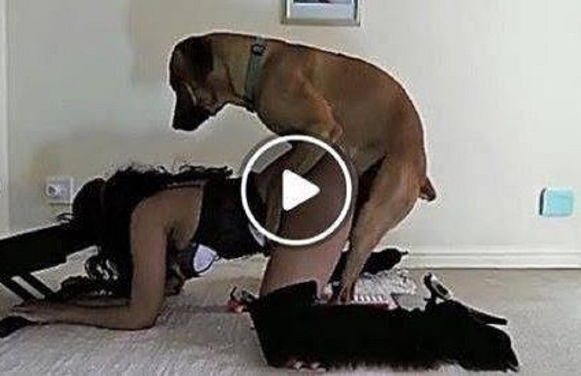 Dog with girl x video