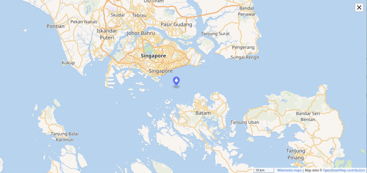 The Singapore Strait, part of the Malacca Straits region. Credit: Wikipedia