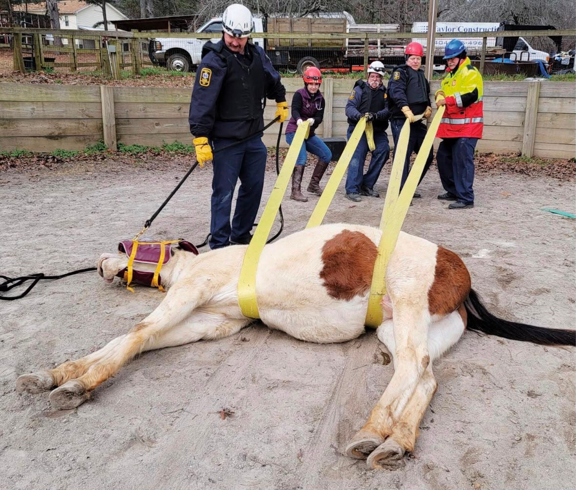 Horse Down Emergency