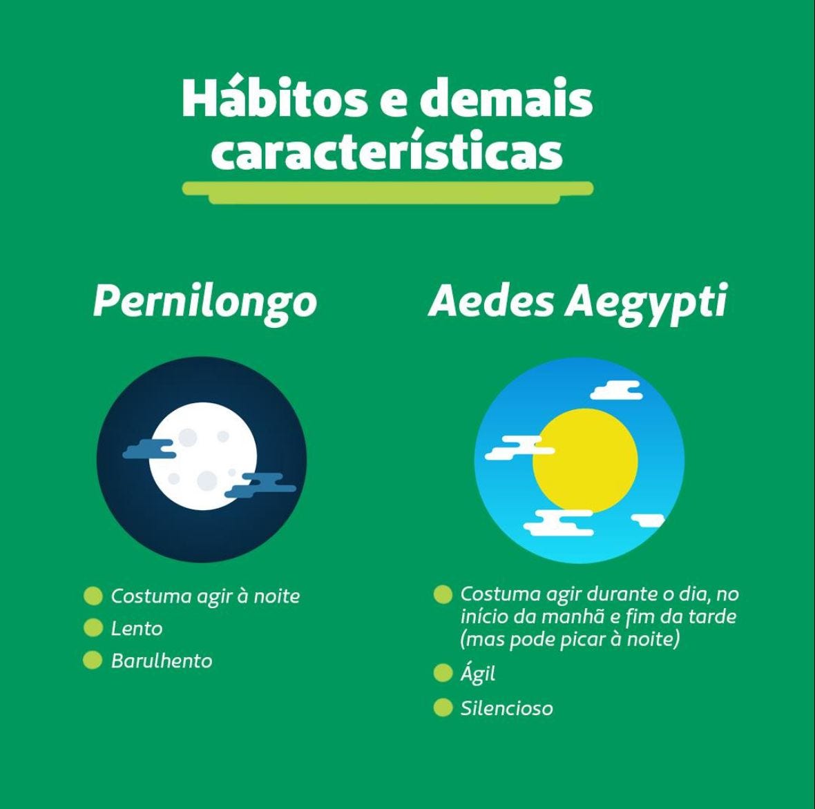 DENGUE, ENTENDA TUDO SOBRE A DOENÇA