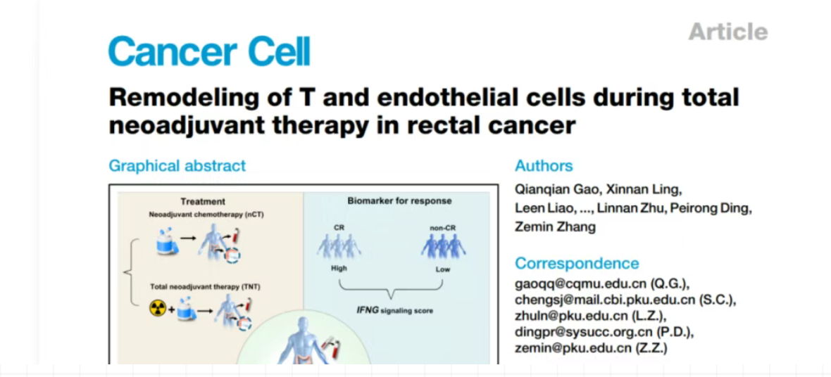 Title: Beyond Clustering: How to Deepen Your Single-Cell Downstream Analysis?