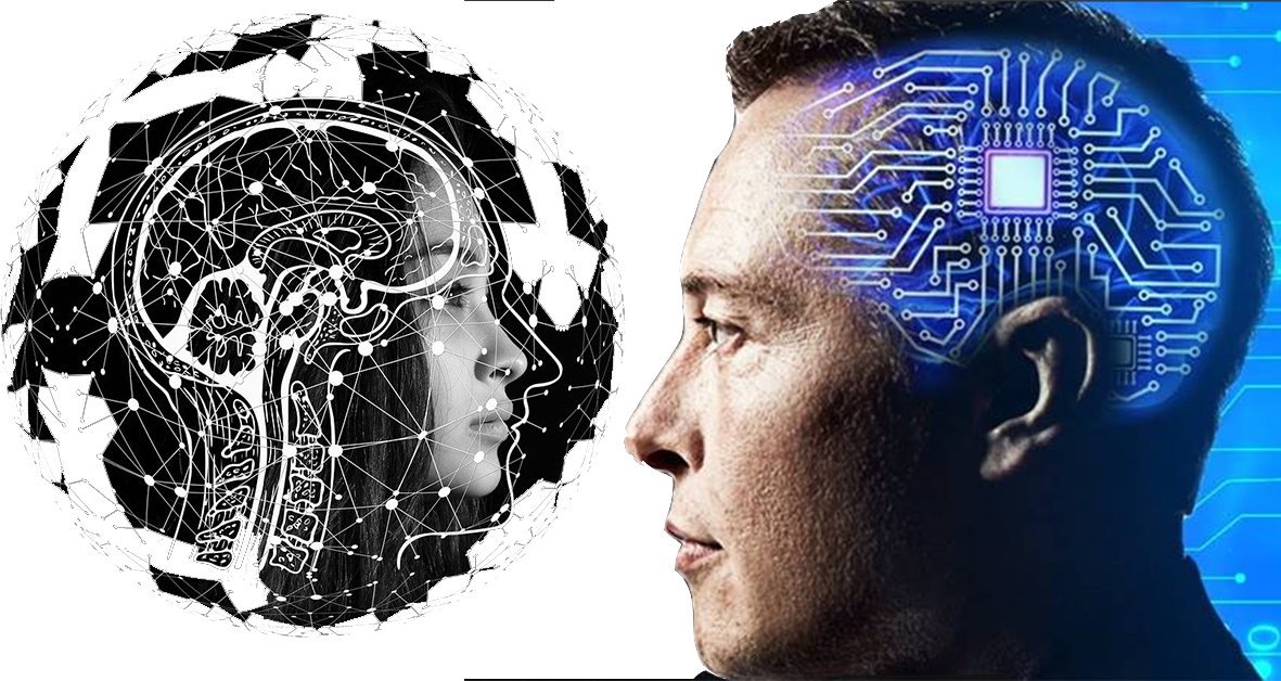 Neuralink Exploring the Revolutionary BrainMachine Interface