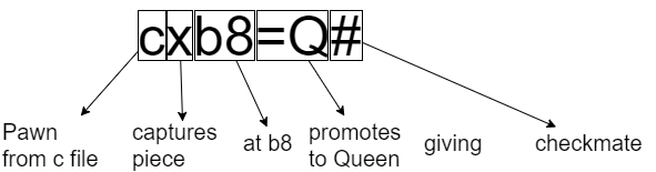 Blog.chessbomb.com ▷ Observe Blog Chess Bomb News