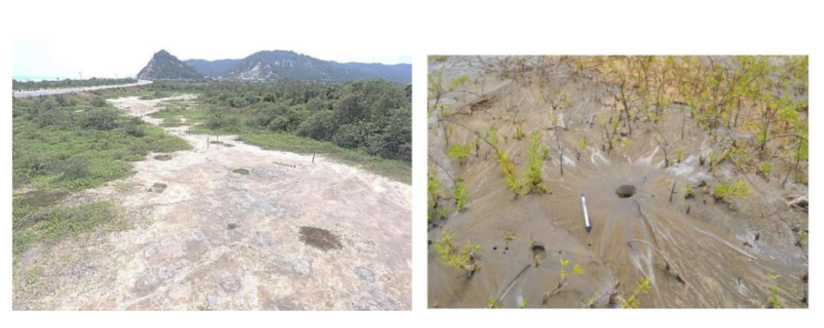 Mecanismos de Refuerzo y Mitigación de Licuación en el Mejoramiento del Terreno: Lecciones del…