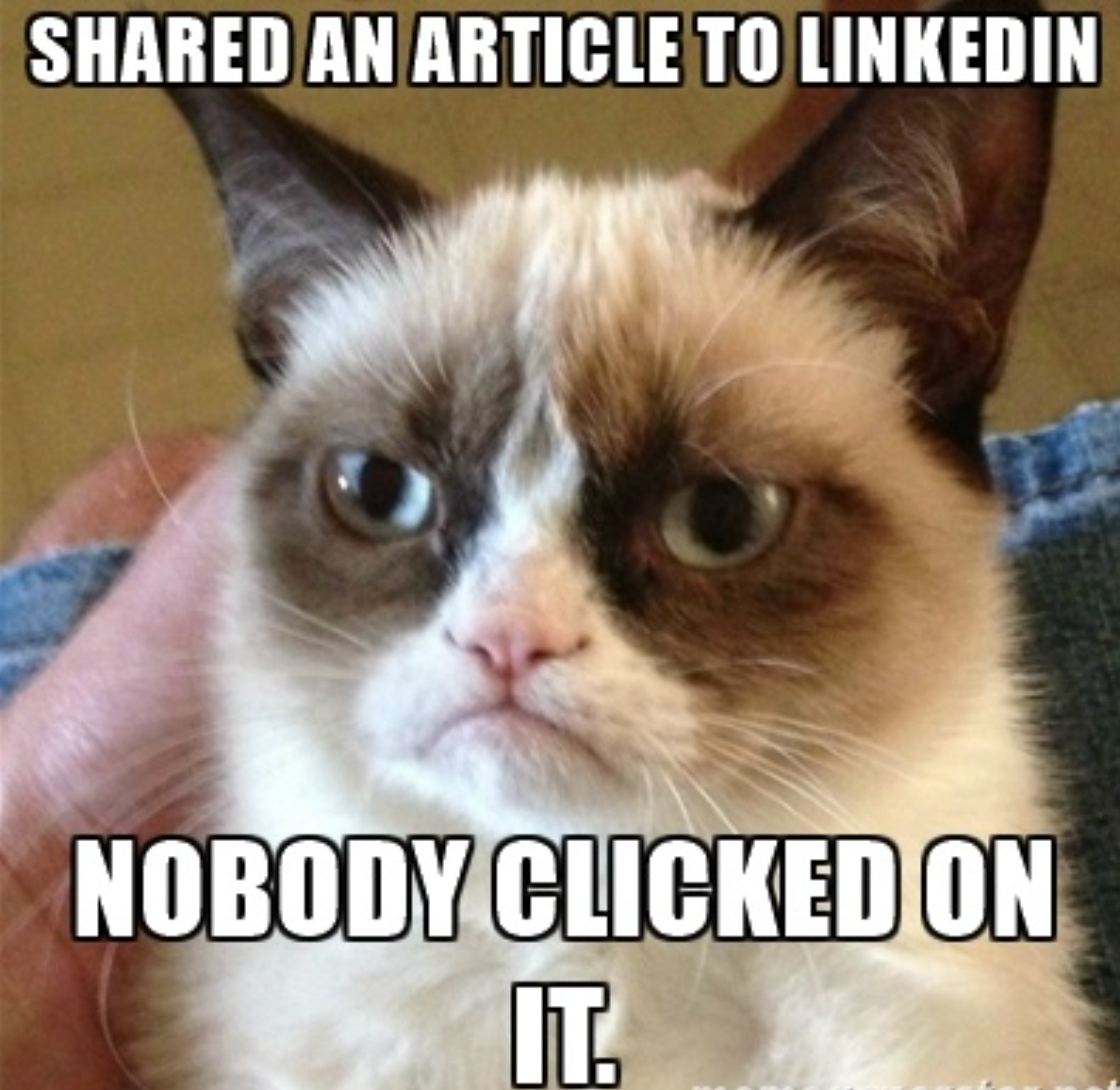 如何擁有傲人的FAANG的資歷. 領英（LinkedIn）… | by Golden Gate Apple | Medium