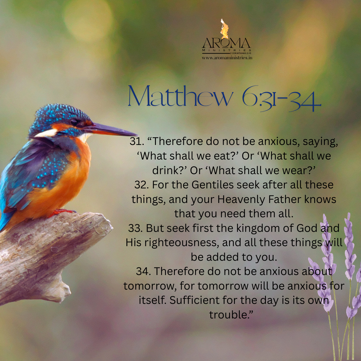 Trust, Seek, and Rest in God: Finding Freedom From Anxiety in Matthew 6:31–34