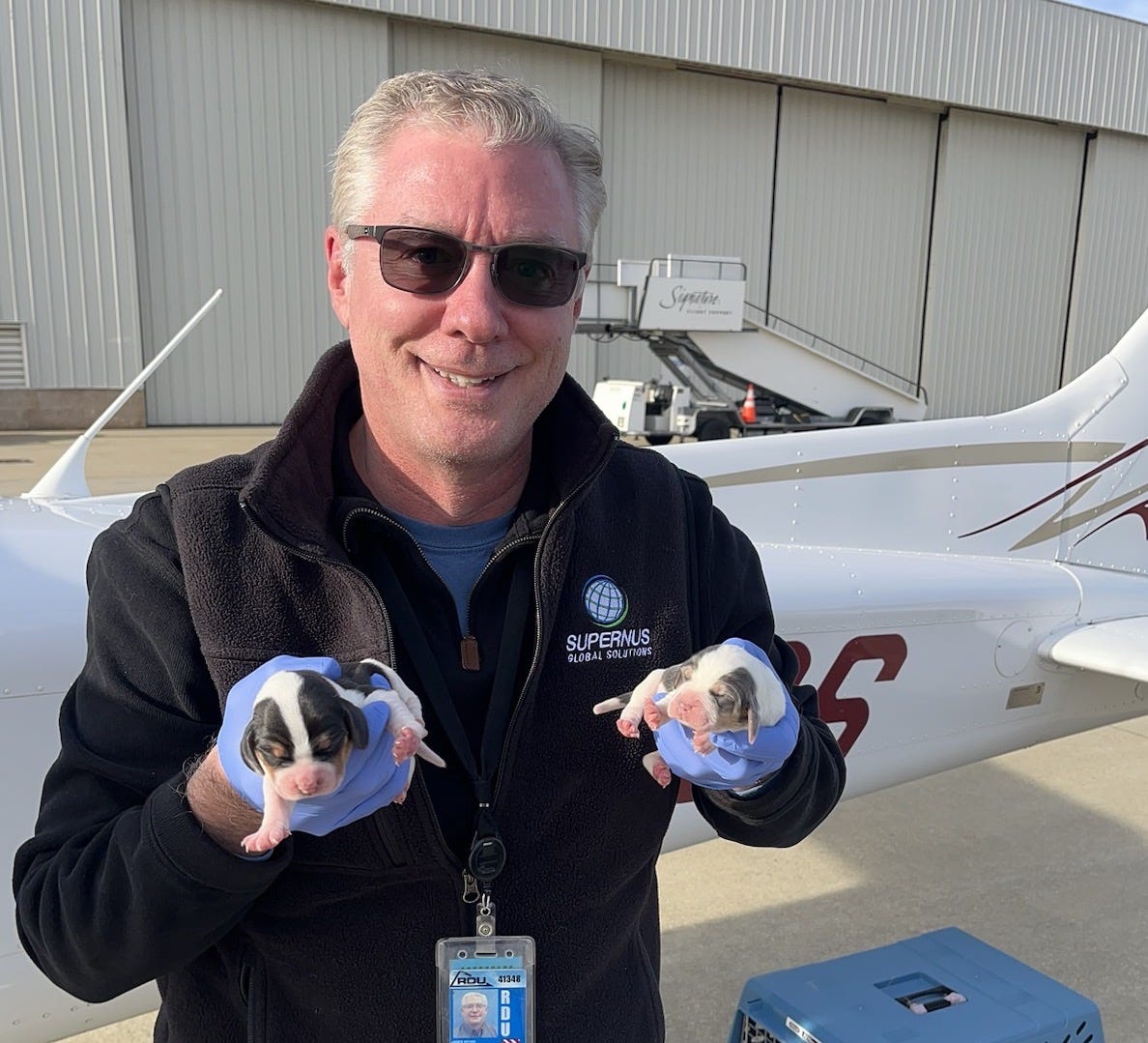 Beagle Puppies Fly to Safety. Volunteers work together to fly newborn