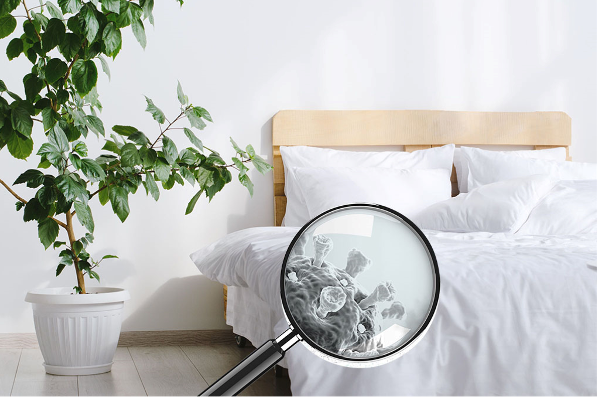 How long does Covid19 stay on bedding? by Sophia Clegg Medium