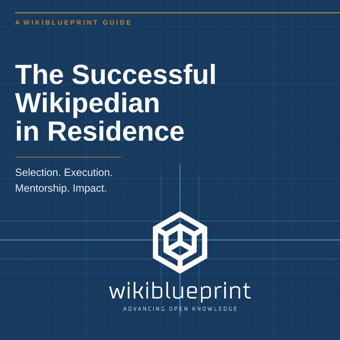 The Successful Wikipedian in Residence