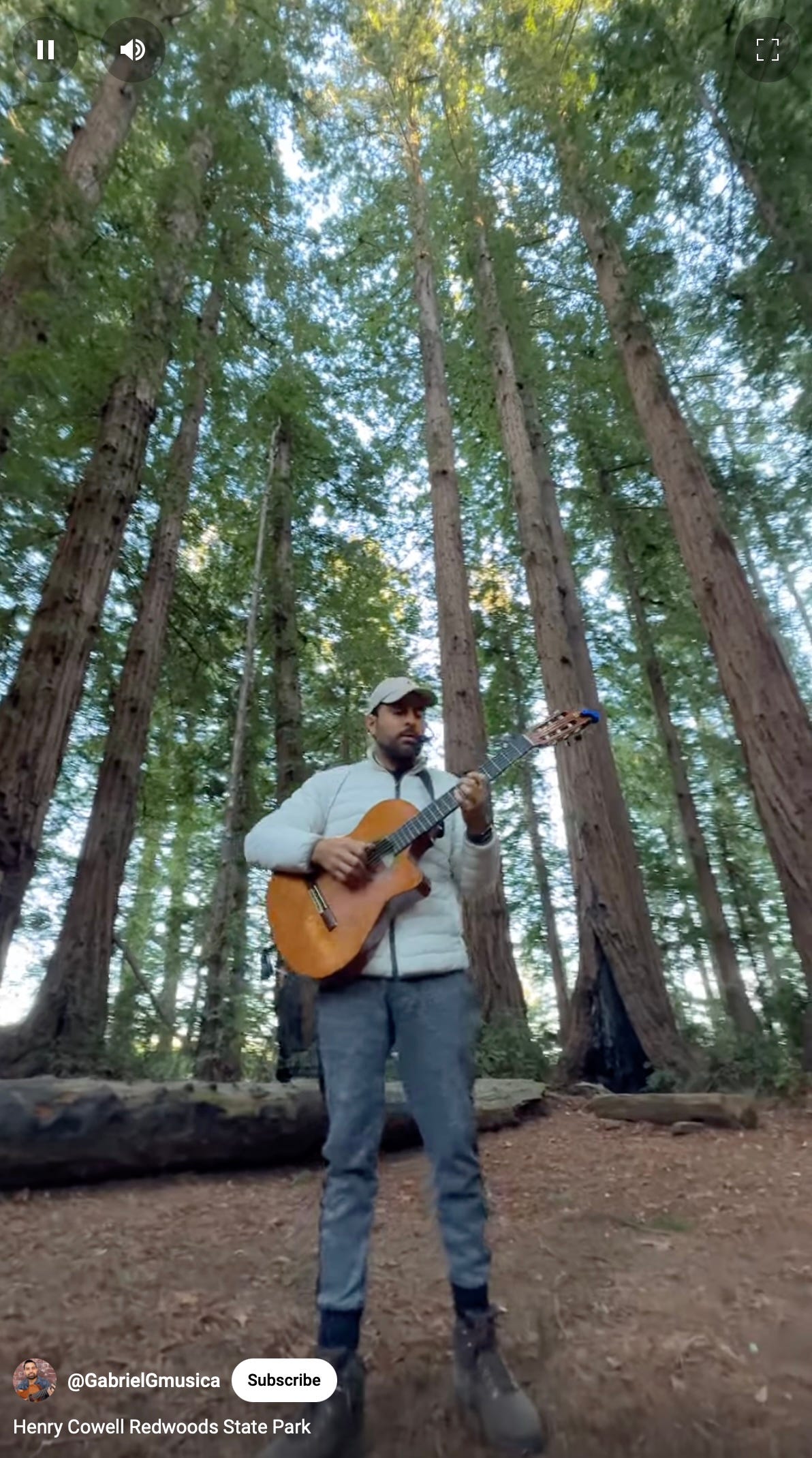 A Special Docent Moment in the Cathedral Redwoods