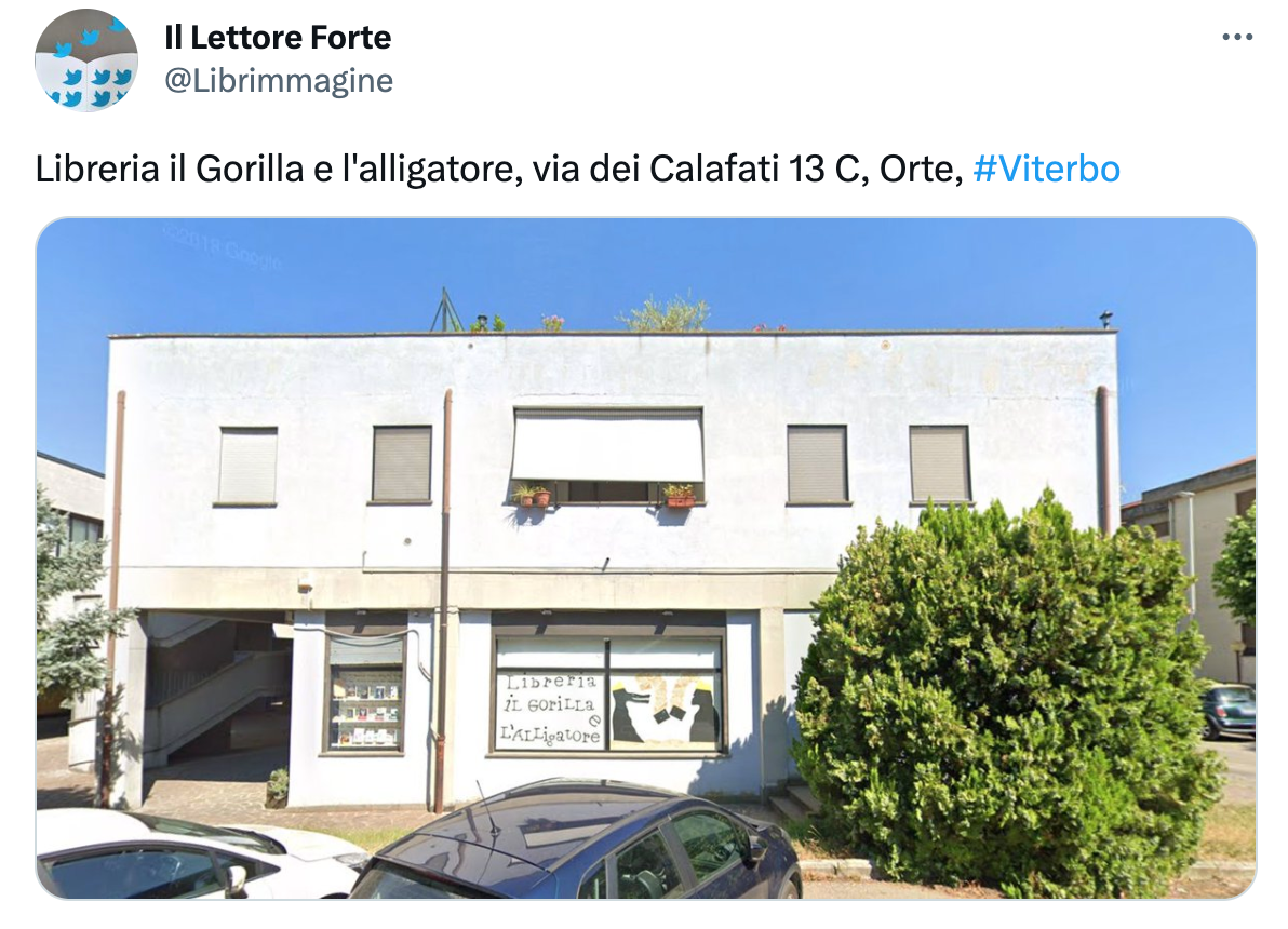 Libreria Il Gorilla e l’Alligatore