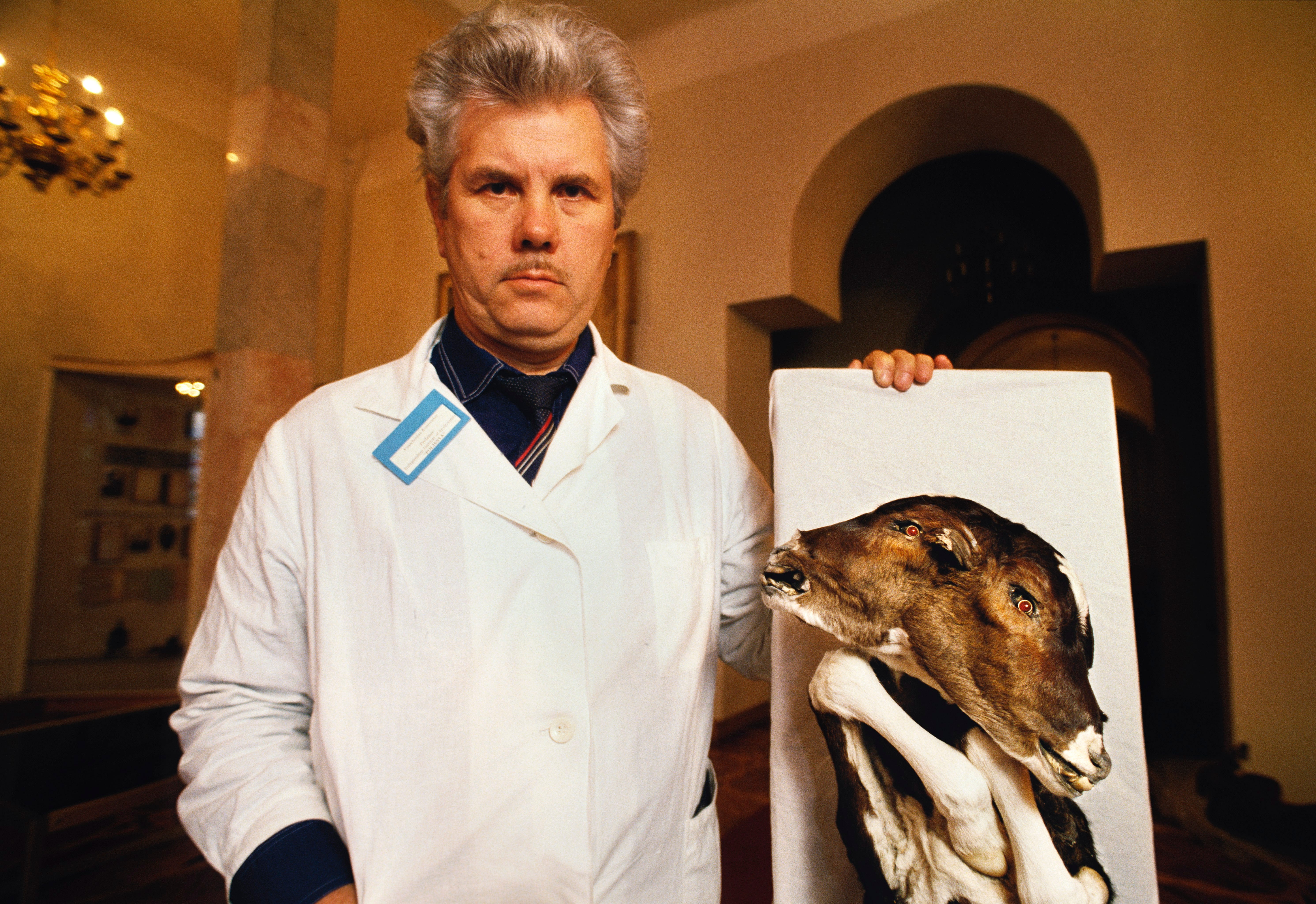 Киберпанк киборг доктор операция. Ученый создал мутанта. Доктор айзекс обитель зла. Химера фильм 2009 гильермо дель торо. Влад бумага ученый.