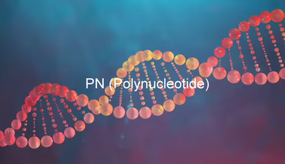 What PN Skin Boosters Really Do: Understanding Polynucleotides in Skin Regeneration