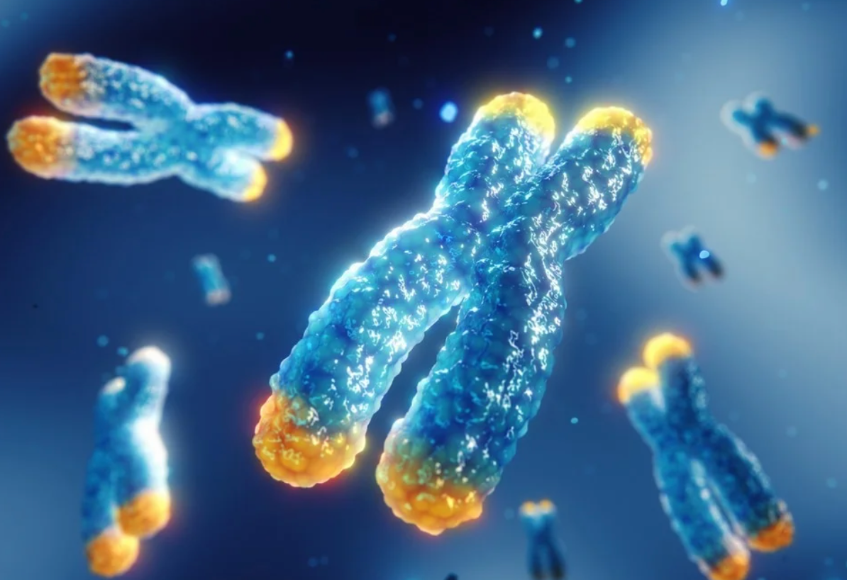 Watch out for shoelaces and zombies!!! by Gauridwivedi Medium