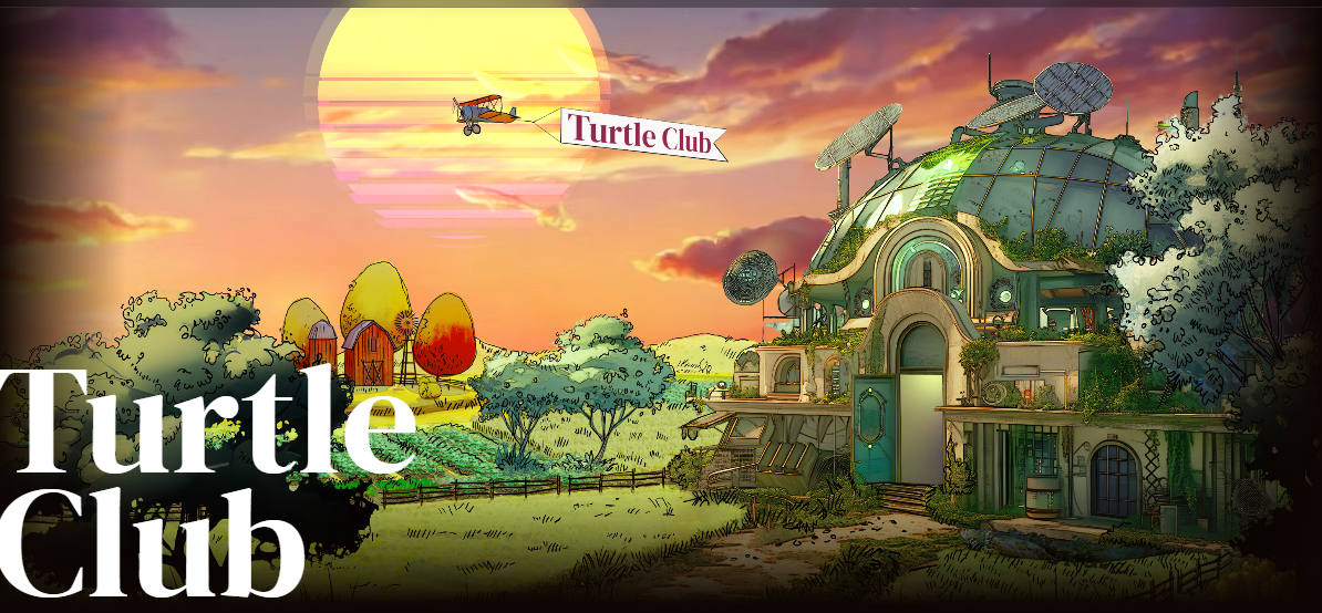 Dive into DeFi with Turtle Club: A Beginner’s Guide ( #TurtleClub #DeFi ...