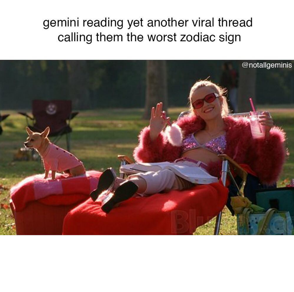 Memes Don’t Exist in a Vacuum, folks! by yisel garcia Emergent