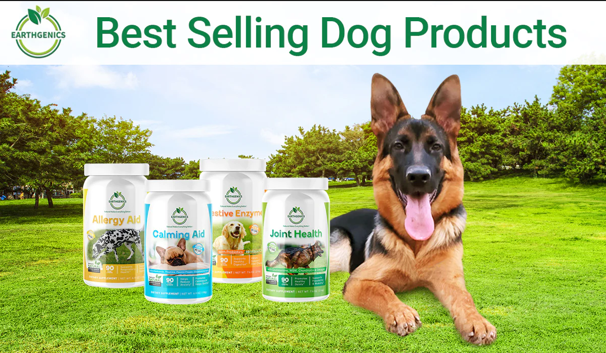 A Quick Guide to Choose Right and BestSelling Pet Products for Your