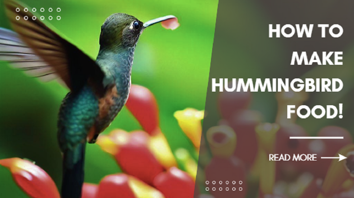 The Ultimate Guide How to Make Hummingbird Food From Scratch by
