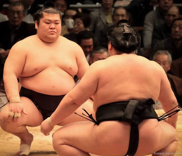 Hinomaru Sumo e Representatividade., by Vilson Borges