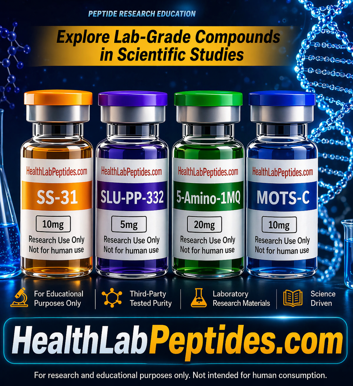 Research suggests: proteins like Follistatin 344 are widely studied in laboratory environments for…