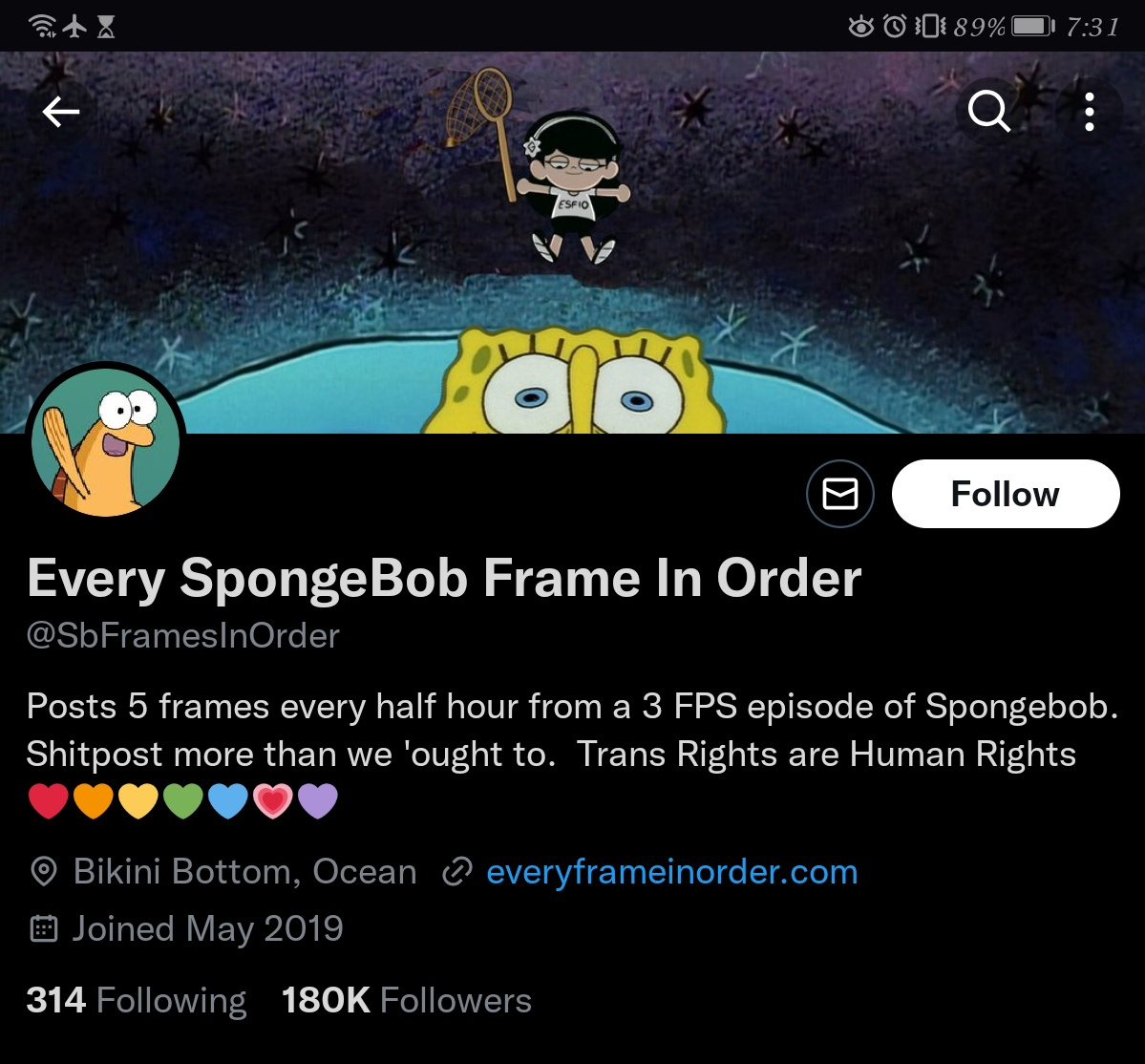 Insane Accounts On Twitter. If you want a very different… | by ...