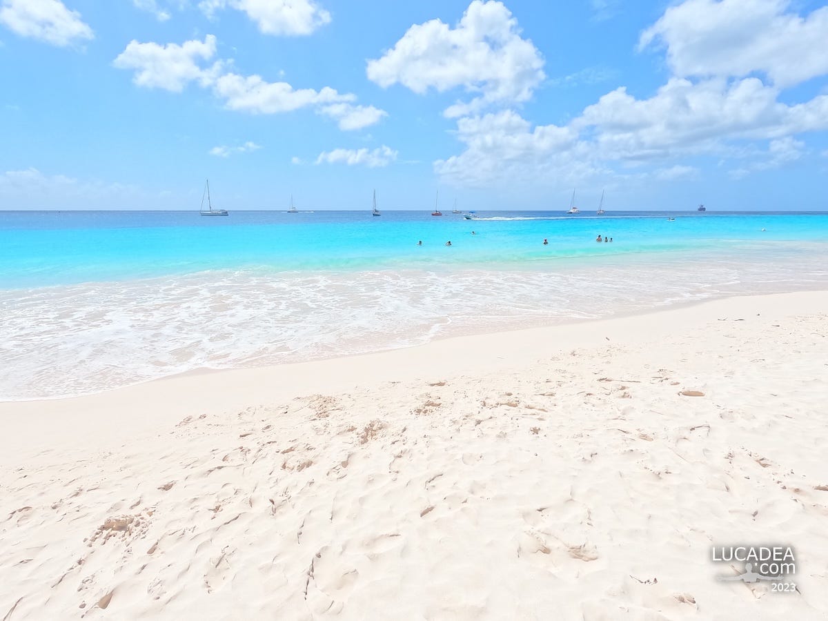 Carlisle Bay e l’equilibrio perfetto del mare