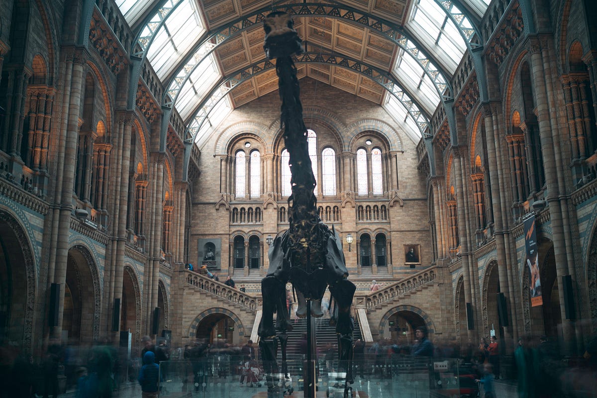 Journey Through Time: Unveiling Jurassic Sea Creatures  by ThomasL@KH 