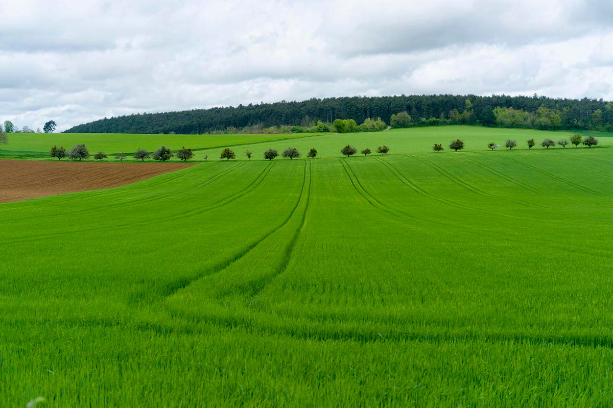 Image of: Go Ahead — Eat Genetically Modified Food. It’s Not Bad For You.