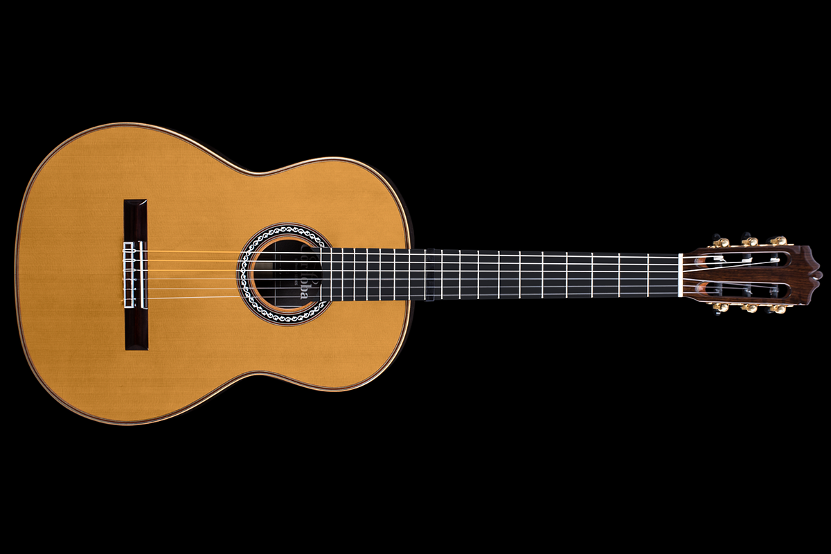 Three Top Brands of Nylon String Guitars That Can Help Unleash Your