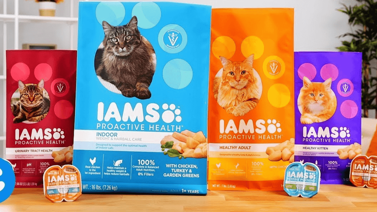 IAMS Cat Food Review 2024 A Comprehensive Guide by Whitepersiancat