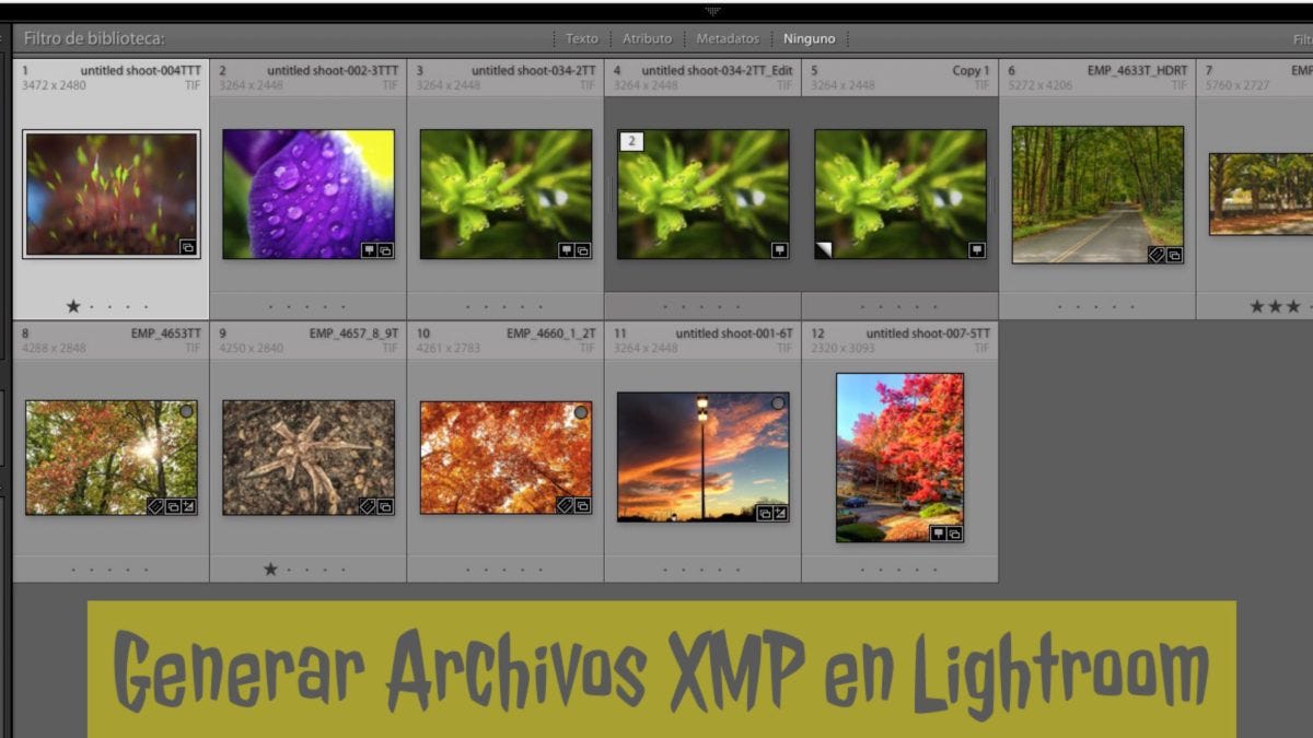 Generar Archivos XMP en Lightroom | by Eduardo Mueses | Medium