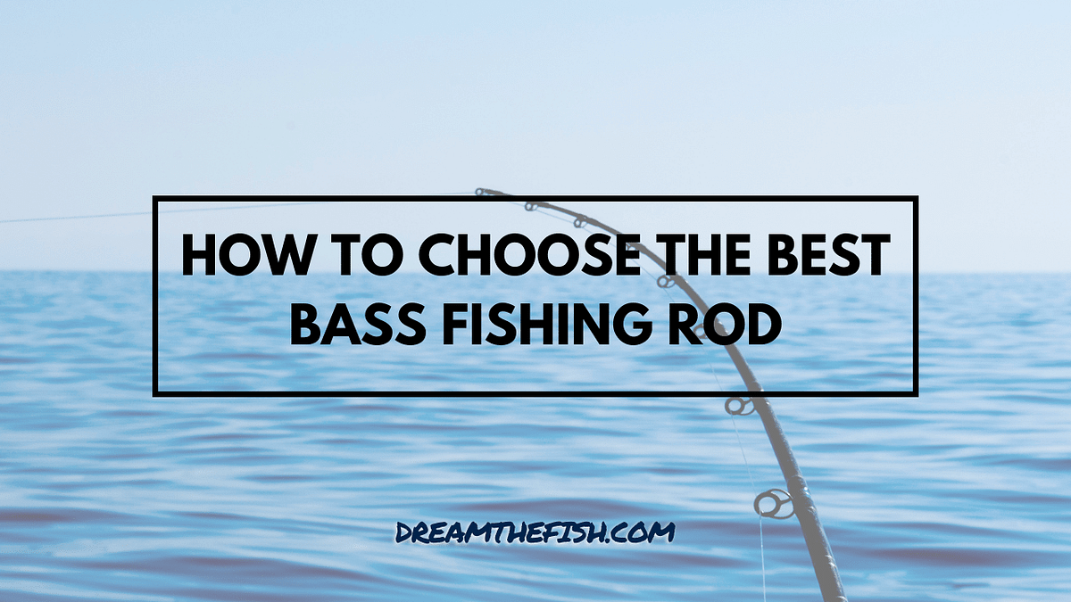 The Ultimate Guide to Choosing the Perfect Bass Fishing Rod, by  DreamTheFish
