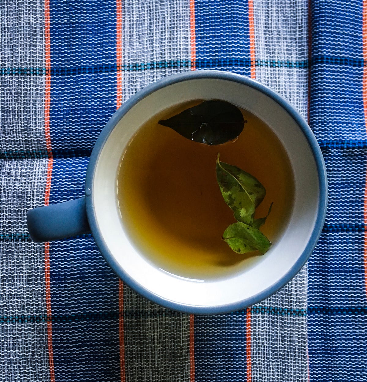 Itsa, or Mountain Tea from Sagada | by Filipeanut | Medium