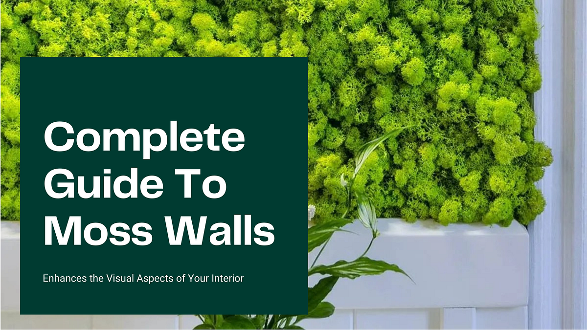 Complete Guide to moss walls. Moss walls are contemporary works of… by Vistaconcepts Medium