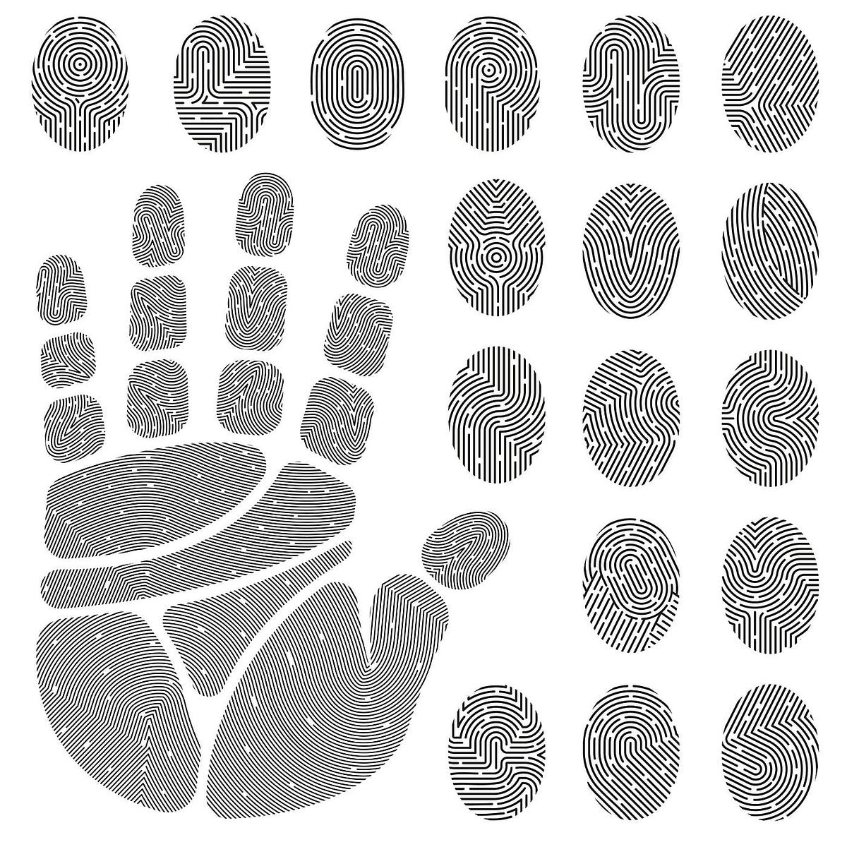 The Fascinating Origins of Fingerprints by Brunner Roth Jan, 2024