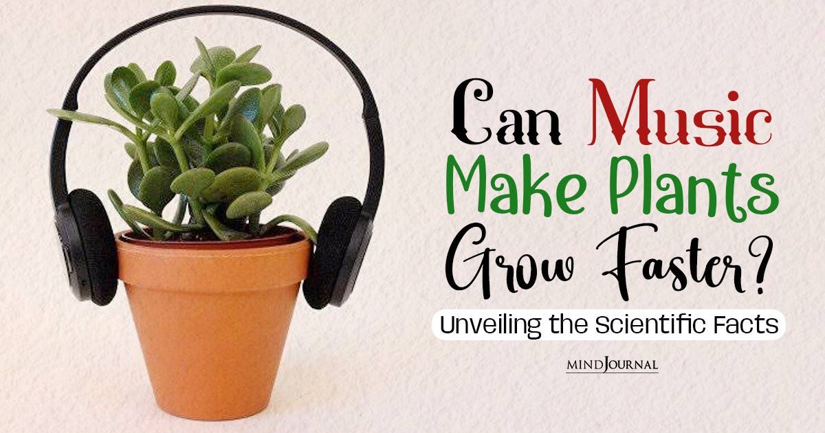 Examining the Impact of Classical Music on Plant Growth: The Harmony of  Growth | by MysticalTalesSeeker | Feb, 2024 | Medium