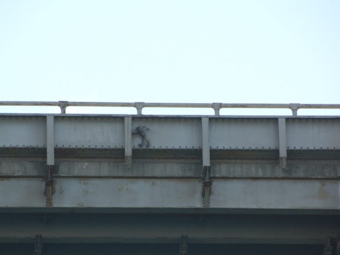 Have You Seen the Bay Bridge Troll? — The Bold Italic — San Francisco