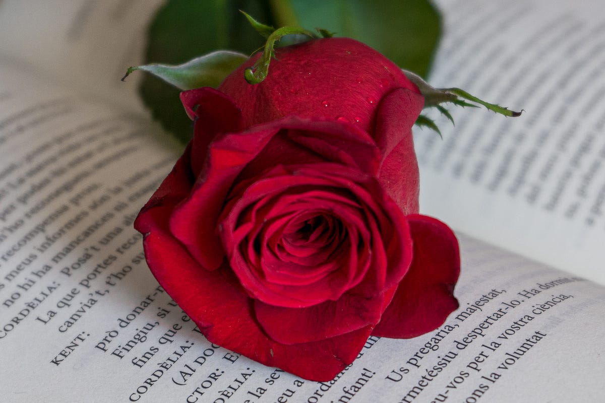 Are The Goodreads Top 100 Romance Books Worth the Hype? Turning Pages
